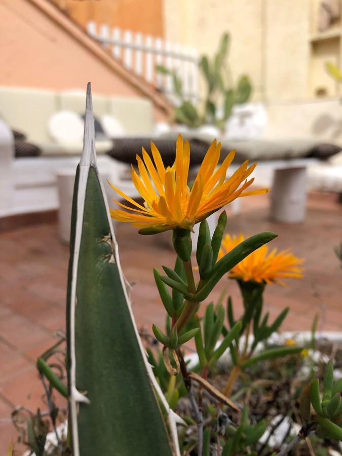 Bastianelli Home Rome Bagian luar foto